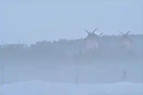 宝徳山稲荷大社(新潟県)