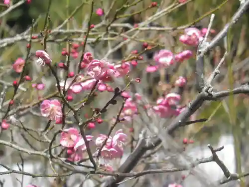浄光明寺の自然