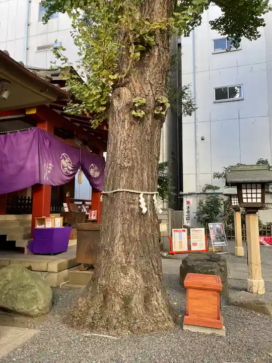 日本橋日枝神社(東京都)