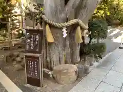 伊古奈比咩命神社の自然