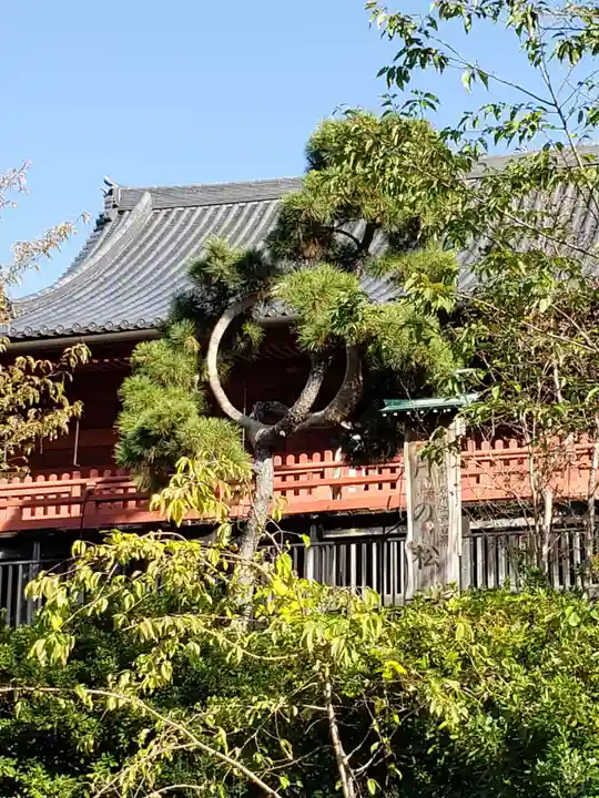 清水観音堂(東京都)