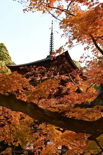 西明寺(滋賀県)