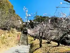 岩屋熊野座神社の庭園