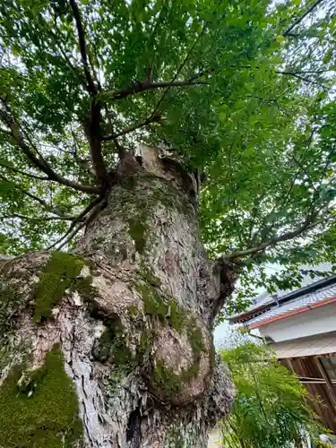 蔵林寺(京都府)