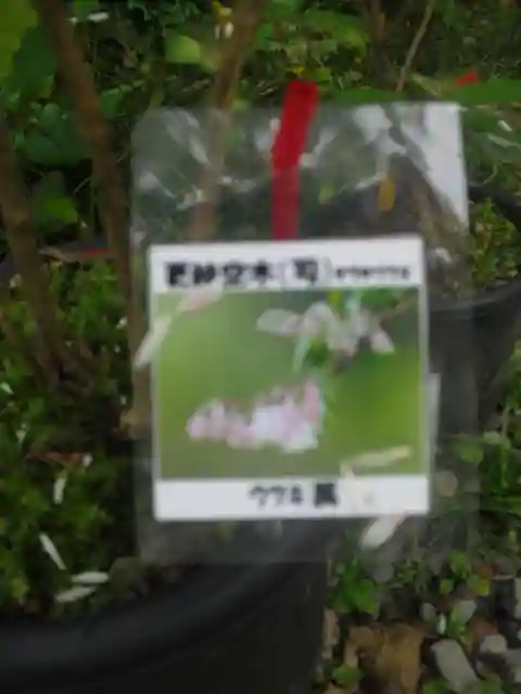 光則寺(神奈川県)