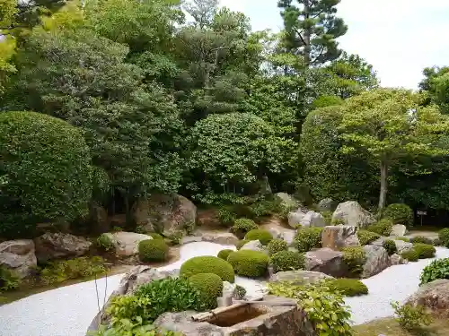 退蔵院の庭園