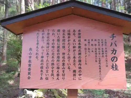 飛驒一宮水無神社の歴史