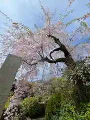 石光寺(奈良県)