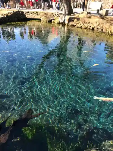 淺間神社（忍野八海）の周辺