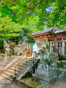 天鷹神社のお祭り(2021年06月16日(水) 08時50分12秒投稿)