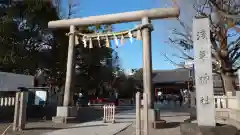 浅草神社の鳥居