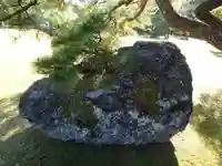 伊勢神宮内宮(皇大神宮)の自然