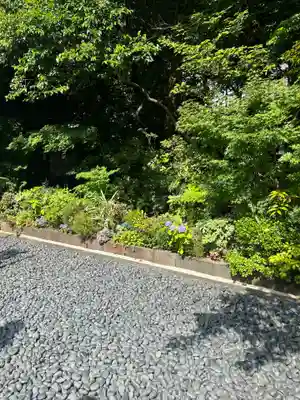 東京大神宮(東京都)