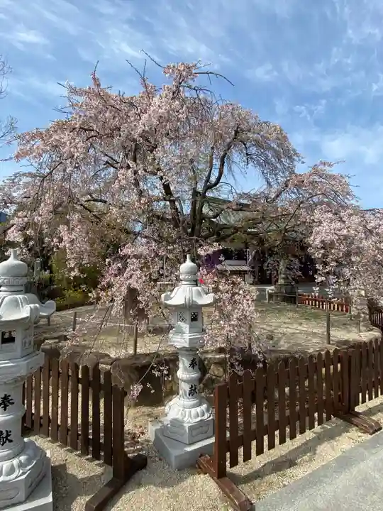 観音神社の自然