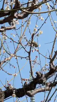 高津宮(大阪府)