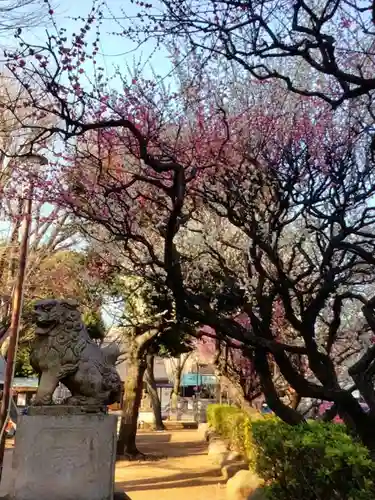 新井天神北野神社(東京都)