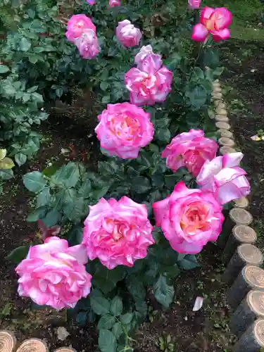 霊山寺(奈良県)