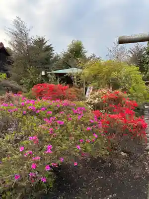 森友瀧尾神社(栃木県)