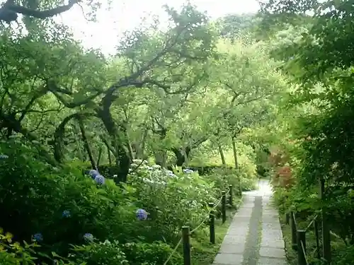 瑞泉寺の庭園