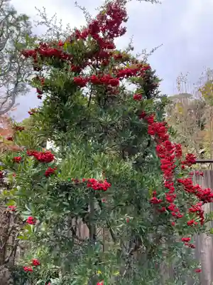即宗院(京都府)
