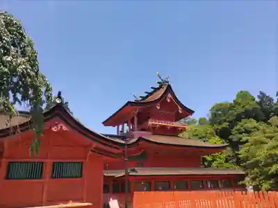 富士山本宮浅間大社(静岡県)