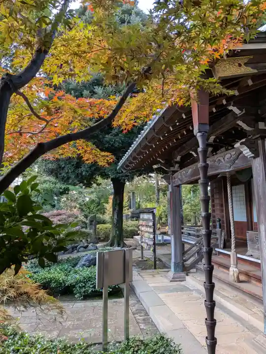 妙法寺(東京都)