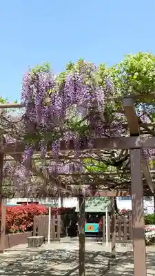 守鐵社の本殿・本堂