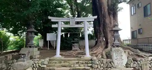 宮鍋神社の鳥居