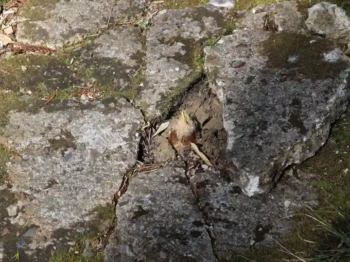 山科聖天 雙林院(双林院) の自然