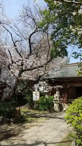 冨士浅間神社の自然