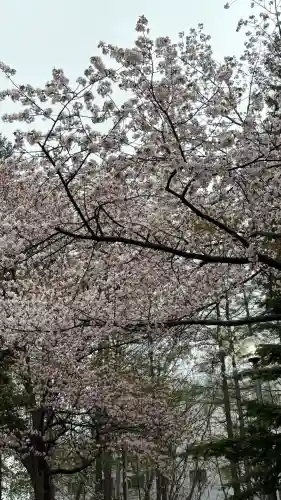 大谷地神社の{uncategorized: "未分類", other: "その他", undefined: "問題あり", building: "その他建物", grave: "お墓", sacred_gate: "鳥居", guardian: "狛犬", statue: "像", buddha: "仏像", history: "歴史", nature: "自然", garden: "庭園", animal: "動物", pagoda: "塔", temizu: "手水舎", mountain_gate: "山門・神門", sanctuary: "本殿・本堂", subordinate: "末社・摂社", art: "芸術", scenery: "景色", jizo: "地蔵", ema: "絵馬", goshuin: "御朱印", omikuji: "おみくじ", items: "授与品その他", amulet: "お守り", goshuincho: "御朱印帳", eats: "食事", festival: "お祭り", votive_dance: "神楽", shichigosan: "七五三参", wedding: "結婚式", experience: "体験その他", initially: "初詣", around: "周辺", anti_infection: "感染症対策"}