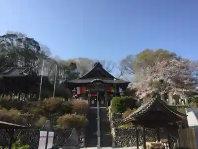 埼玉厄除け開運大師・龍泉寺（切り絵御朱印発祥の寺）のその他建物