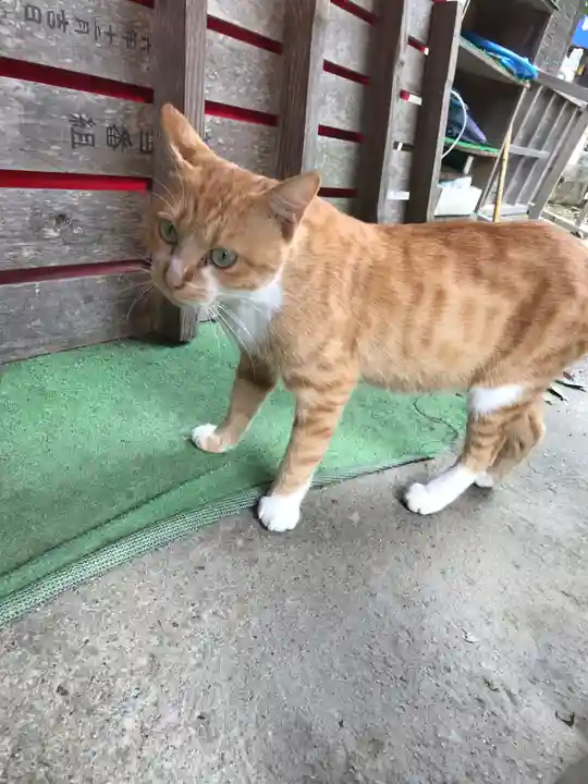 縣主神社の動物