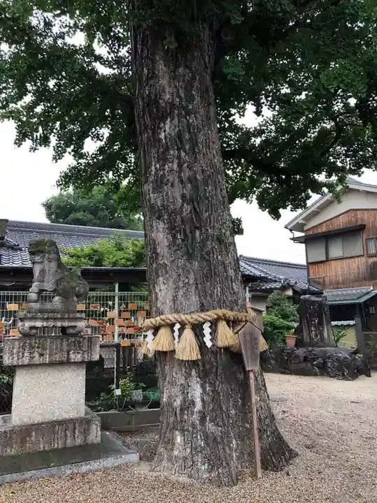 市杵島姫神社のその他建物