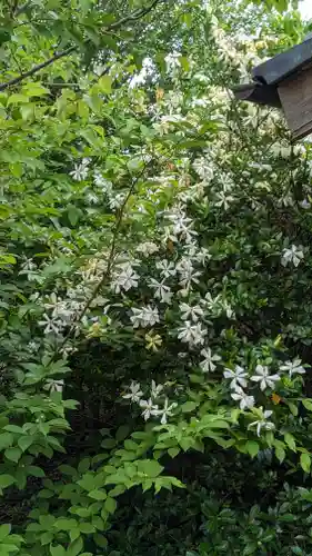 海印寺寂照院(京都府)