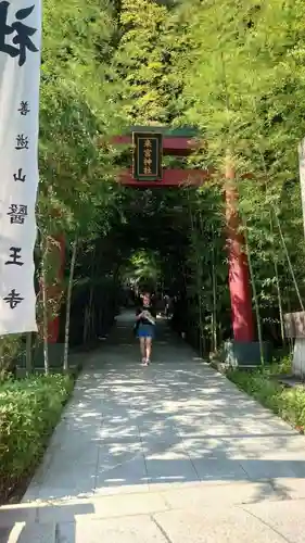 來宮神社(静岡県)