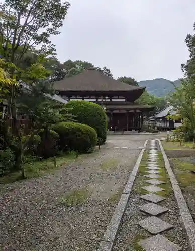 法界寺(日野薬師)(京都府)