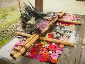 今市報徳二宮神社の手水舎(2021年10月15日(金) 17時31分18秒投稿)