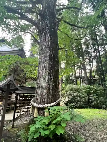 西光寺(宮城県)