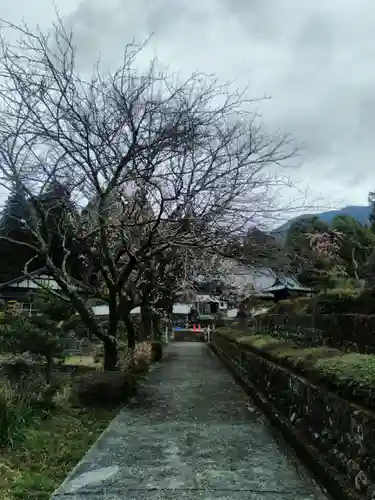 内船寺の建物その他