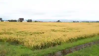 岩沢神社の周辺