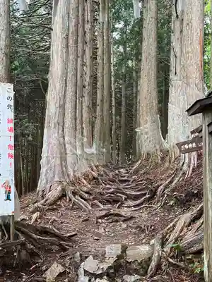 三峯神社奥宮(埼玉県)