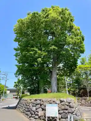 本城稲荷神社(栃木県)
