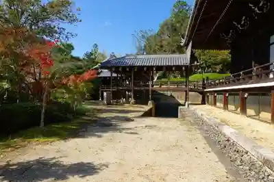 光明寺（粟生光明寺）のその他建物