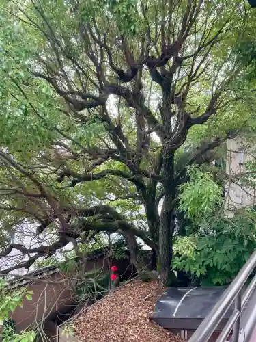 羅漢寺(東京都)