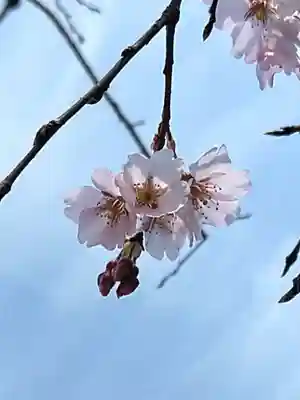 本立寺(東京都)