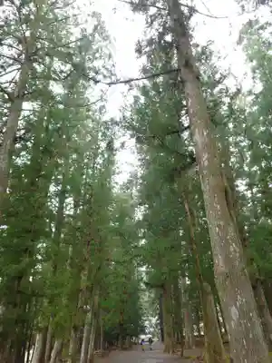 大斎原（熊野本宮大社旧社地）(和歌山県)