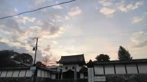 根来寺 智積院の山門