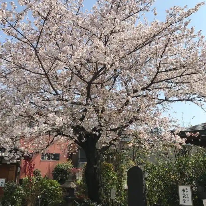 龍眼寺(萩寺)の自然
