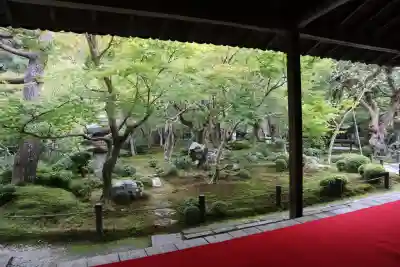 圓光寺(京都府)